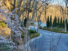 -棒棰岛宾馆景区