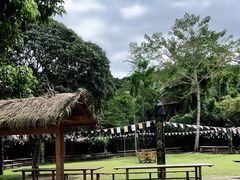 -海南槟榔谷黎苗文化旅游区