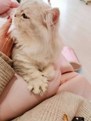 -Beauty Nails 美甲美睫皮肤管理