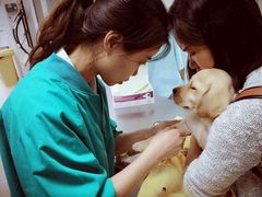 -康乐宝动物医院