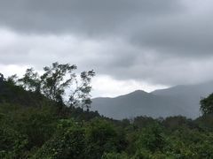 -呀诺达热带雨林
