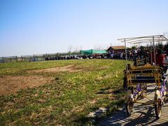 -盐城丹顶鹤湿地生态旅游区