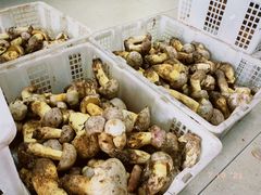 -双喜农庄·菌香园(安居家园店)