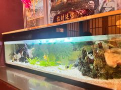 -大江户日本料理(吕厝店)