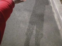 -琴岛之星摩天轮