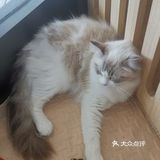 杭州室内动物园[胜利]来看可爱的网红小动物吧