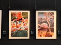 -罗红摄影艺术馆