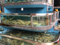 -新农都水产市场