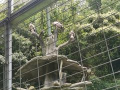 -宁波野生动物园