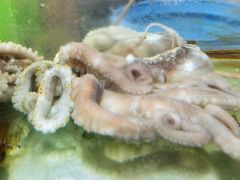 -四海鲜渔家菜(黄金海岸店)