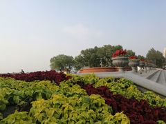 游乐设施-人民防洪胜利纪念塔