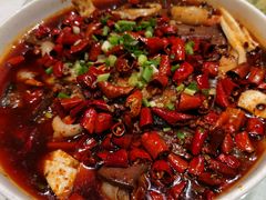 -鑫巴蜀小镇 · 水煮鱼专研店(玉桥店)
