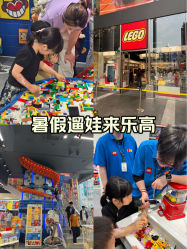 -乐高品牌旗舰店(人民广场店)