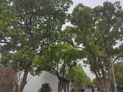 -东钱湖小普陀景区