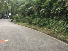 -广州市帽峰山景区