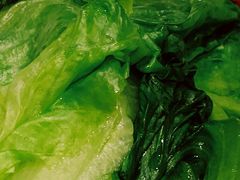 白灼生菜-金鼎轩(亚运村店)