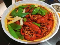 -京悦南门涮羊肉·羊蝎子火锅(田林路店)