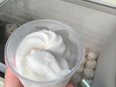 -洪馨椰子