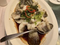 -绿岛国际酒店·海鲜酒楼(八七路店)