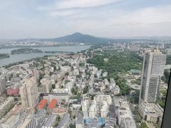 -紫峰大厦