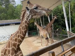 -泉州海丝野生动物世界