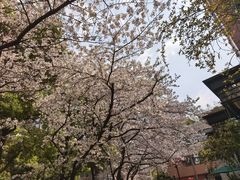 -玛格萝妮比萨屋(四平店)