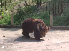 -西宁福茵长乐国际大酒店