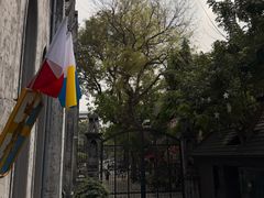 -圣约瑟夫大教堂