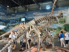 -自贡恐龙博物馆