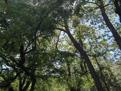 -香山公园