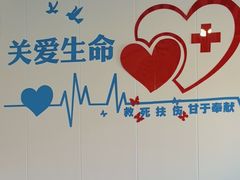 -守诺宠物医院·眼科· 特色牙科·异宠专科(虹口店)