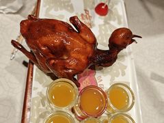 -大鸽饭(动物园店)