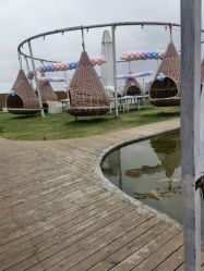 -小蜜蜂农场(凯德七宝购物广场店)