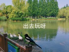 -海淀公园