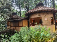 -土灶人家柴火鸡(都江堰店)