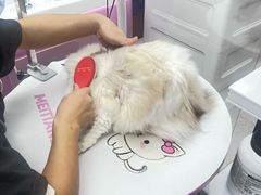 -FAELING PETS美天灵宠物(富力广场店)