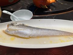 -沈灶河豚宴·河豚融合餐厅(汉中路店)