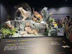 -厦门诚毅自然探索馆