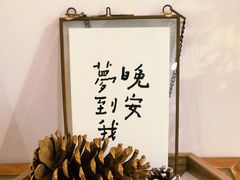 -猫里有甜