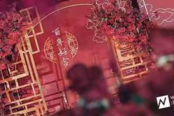 -天泰一站式婚宴·宴会厅