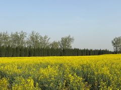 -汉长安城未央宫国家考古遗址公园