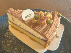 -gaga(北京新中关购物中心店)