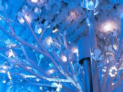 -同庆楼(花园店)