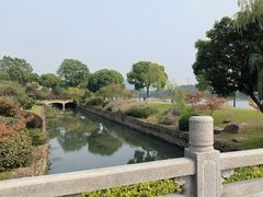 -羊山湖公园