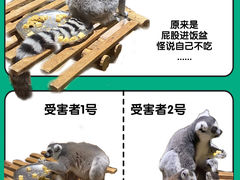 -绿色星球动物主题公园