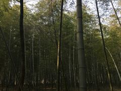 -陶祖圣境风景区