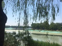 -亲兄弟真人CS团建拓展基地