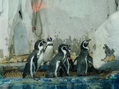 -太平洋海底世界