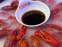 精品冰镇龙虾-红盔甲·小龙虾(车公庙店)