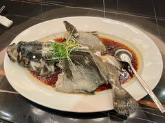 清蒸海青斑-汕头龙光喜来登酒店-采悦轩中餐厅